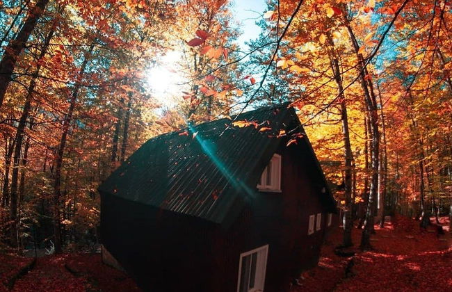 Habitat Mesire Evleri - Foto 30