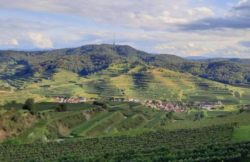 im Baumgarten Comfortable holiday residence - Foto 11