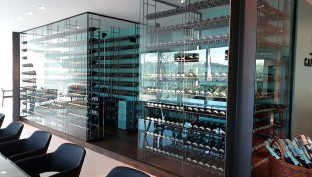 Tour de bodegas del Vale dos Vinhedos - Foto 5