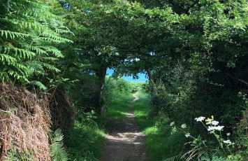 Anglesey Beach House - Foto 28