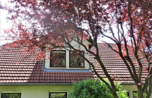 Neubrandenburg-Wasser,Natur,Zentrum,Ladestation für E-Autos - Foto 6