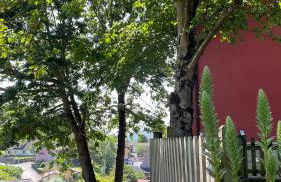 Apartamentos El Picoretu - Foto 34