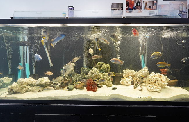 Melwood Suites Unit 106 Studio - Foto 2