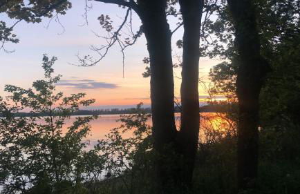 Bücherträume - Foto 25