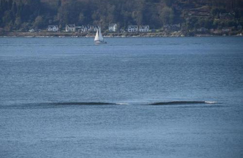 2 Bed in Helensburgh oc-87473 - Foto 17