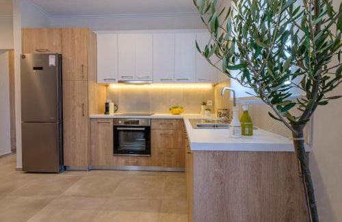 Olivo Home - Foto 16