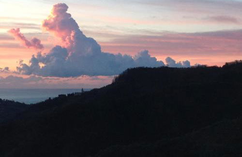 Agriturismo OlivArancio - Foto 64