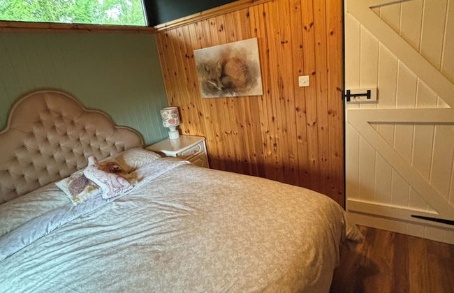 11 Tan-y-coed Woodland Lodge - Foto 4