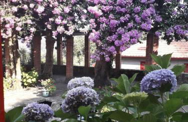 Casa Do Palheiro - Photo 77