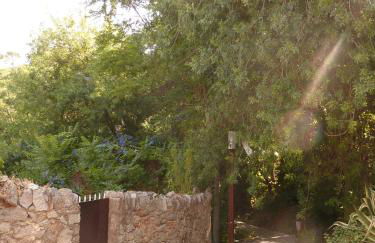 Chalet Monchique - Foto 38