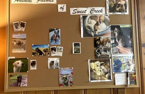 Sweet Creek - Photo 34