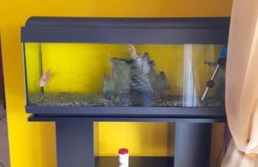 K & R apartment - Foto 15