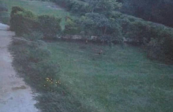 Royal Paradise Hotel - Foto 17