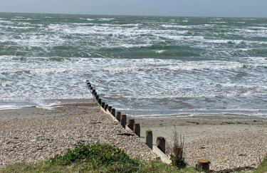 The Hen House - Photo 30