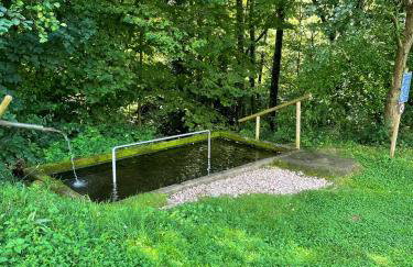 Ferienwohnungen Schwabenhof - Foto 36