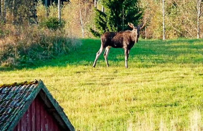 8 Person Holiday Home in Grebbestad-by Traum - Foto 19