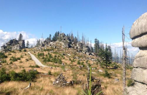 Ferienwohnung BEER - Photo 10