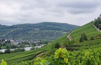 Wald Villa Üssbach - Foto 33