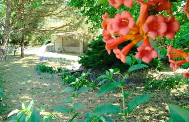 Cosy Loft by l'Arche de Jo - Foto 22