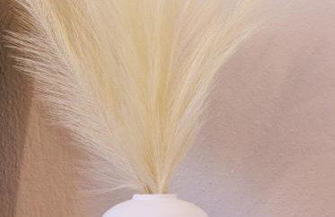 Philoxenia House - Foto 17