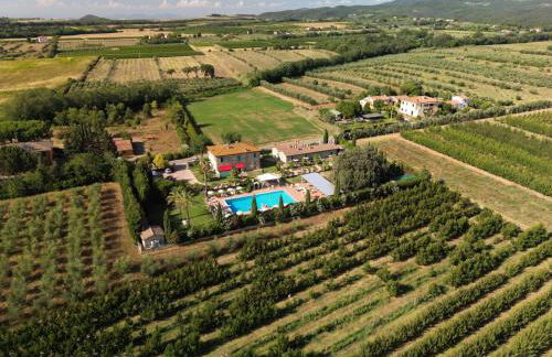 Podere Gli Olmi - Foto 6