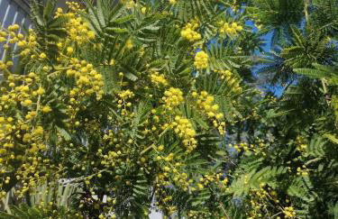 Appartamento Meridiana - Foto 13