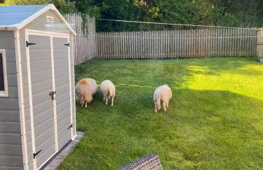 Great Orme Cottage, Llandudno - The Best of Rural & Coast! - Foto 17