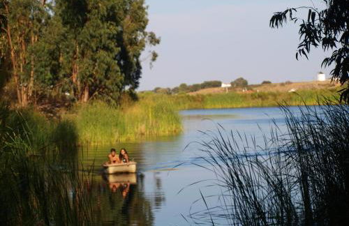 Herdade dos Montes Bastos - Foto 11