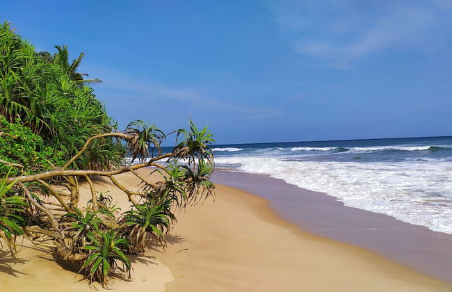 Villa Modara - Photo 41