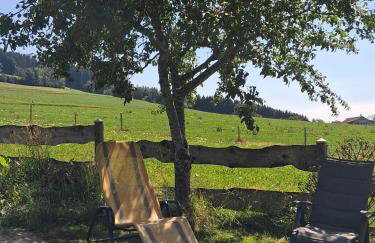 Haus Biggi - Ferienwohnung Pfänder - Foto 23