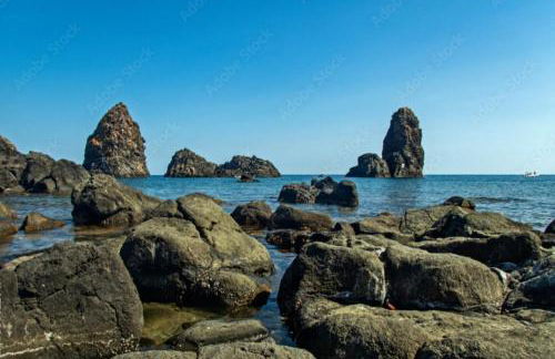 La Petite Maison - Foto 56