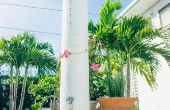 Gulfside Resort Unit 4 - Foto 17