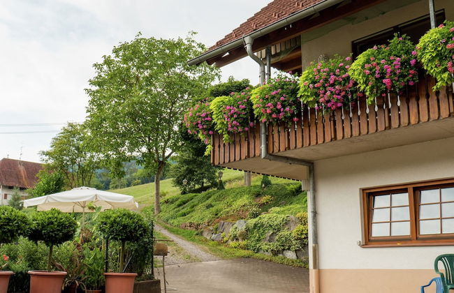 Schwarzwald-ferienwohnung auf dem Bauernhof - Foto 21