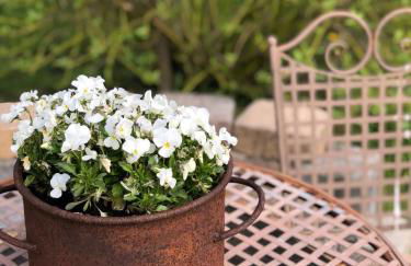 Kienberghof - Foto 29