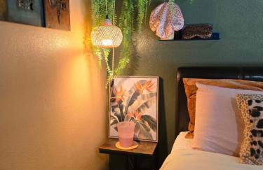 Jungle Oasis By Busch Gardens USF and Amphitheater - Foto 15