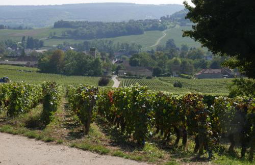 L'Atelier du Champ Ladoit - Foto 21