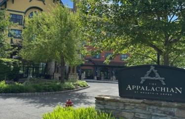 The Appalachian Hotel at Mountain Creek Resort - Pool, Hot Tub & Sauna - Foto 2