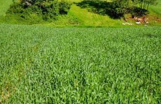 Cube Hills - Foto 61