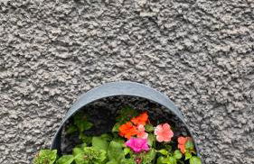 Keepers Cottage - Foto 10