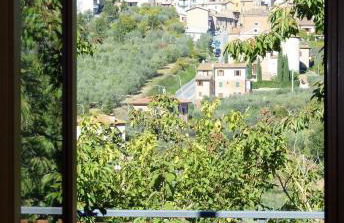 Agriturismo La Pietriccia - Foto 152