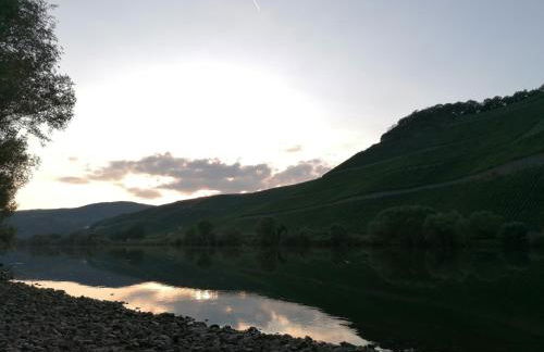FeWo Sonnenlay - Apartments an der Mosel - Foto 26