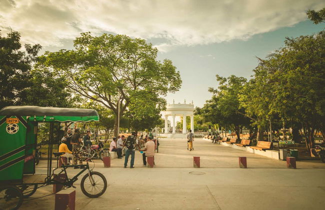 Ciénaga Day Trip - Photo 5