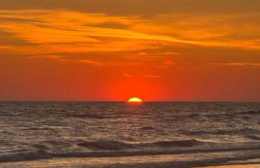 la farfalla blu sul mare - Foto 19