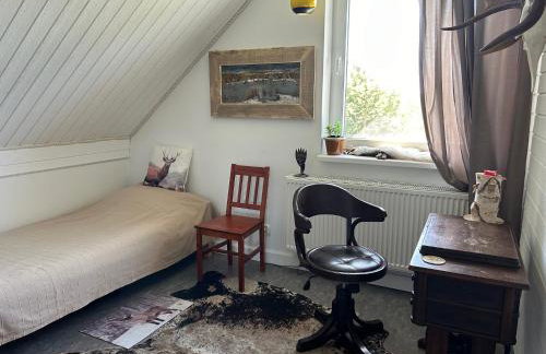 Pucówka na skraju Puszczy Białowieskiej - Foto 15