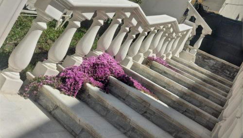 Regina Claudia - Foto 4