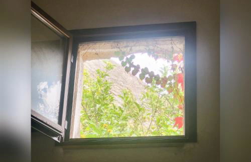 Un Raggio di Sole - Foto 21