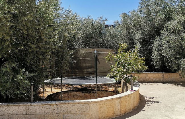 Olive Palace Restaurant and Lounge - Foto 11