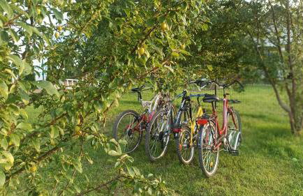 Domki Anielski Zakątek J&R nad Bałtykiem DELUX z balią ogrodową z jacuzzi i klimatyzacją - Foto 20