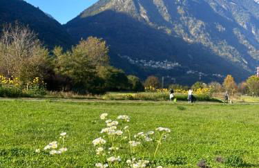 Casa Delfina - Foto 43