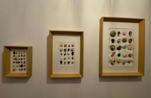 Una Parada en el Camino 3 - Foto 35